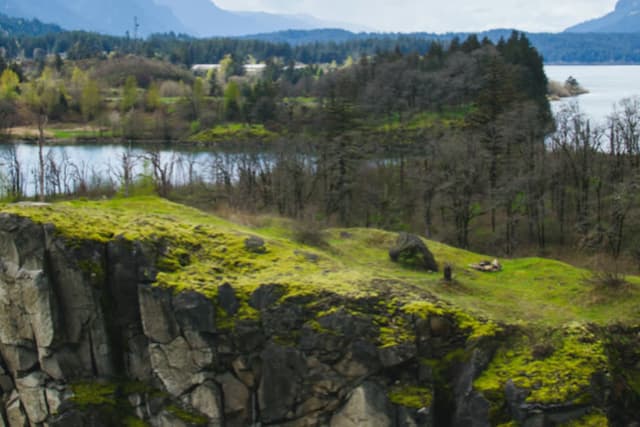 Moss-covered rock on a green lakeshore