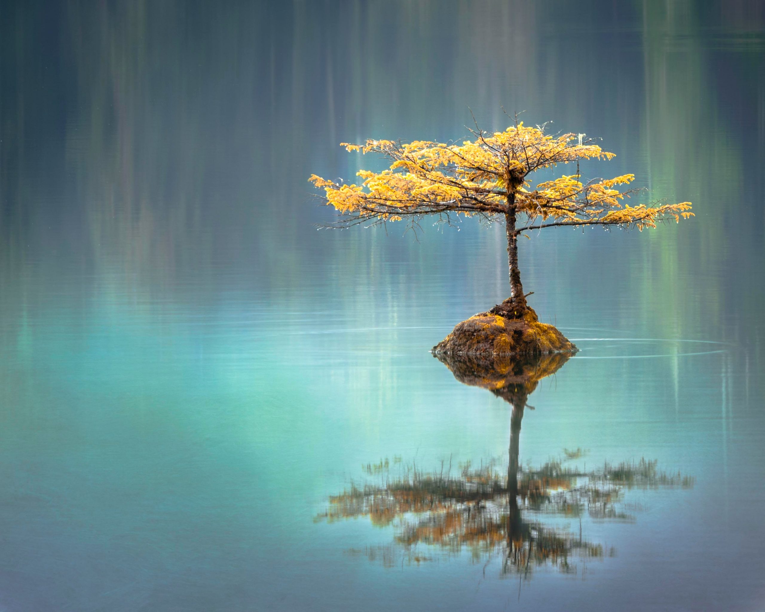 Faye Cornish, landscape photograph